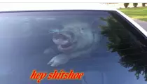 top.png