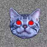 tumblr_muf11cOTeK1r9evhpo1_250.gif