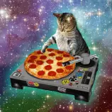 tumblr_n87fdrYbE91roiv5co1_500.gif