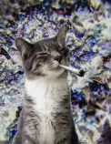 tumblr_new933Zcsx1tmyajko1_500.gif