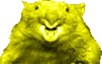 wombat2.gif