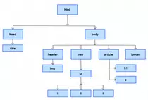 img/arbol.png