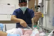 cutting.jpg