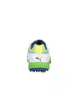 images/product-slide/image4_thumb.jpg