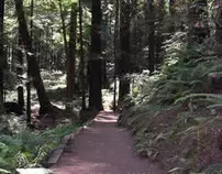 PacificTrailsCase/pacific4/trail.jpg