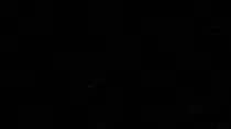 static.gif