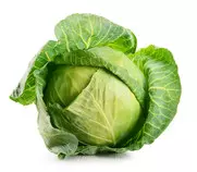 Cabbagethumb.jpg
