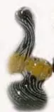 First Draft/bubblers.jpg
