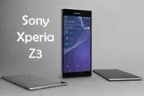 z3.jpg