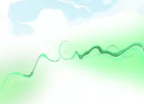 bethel sisi/Fondo.png
