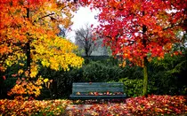 images/otono.jpg