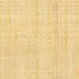Papyrus2.jpg