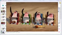 images/poster_video.jpg
