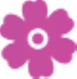 site_favicon.png