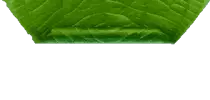 images/leafmenu12.png