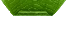 images/leafmenu22.png