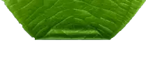 images/leafmenu32.png
