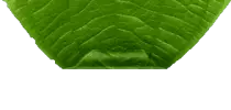 images/leafmenu42.png