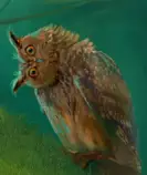 images/owl1.jpg