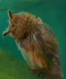 images/owl2.jpg