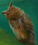images/owl4.jpg