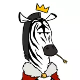 pixPage/KingZebra.png