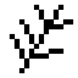 img/lovecraft_icons/lovecraft_elder_sign_branch_128.png