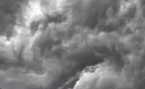 giphy-(1).gif
