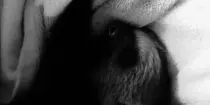 slothsleep.gif