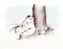 treesleep.jpg