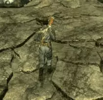 pictures/fallout.gif