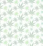 images/leaf.jpg