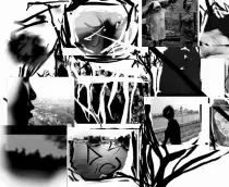 assets/textures/gif/unknown-field7.gif