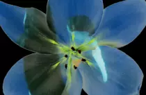 assets/textures/gif/unknown-superimpose.gif