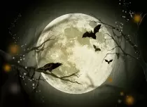 images/halloween/halloween1.jpg