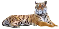 mod2/img/img-big.png