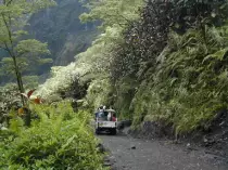 tahiti/tahiti06.jpg