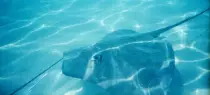 tahiti/u_water.jpg