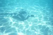 tahiti/u_water2.jpg