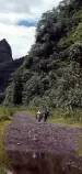 tahiti/walk.jpg