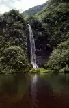 tahiti/wfall01.jpg