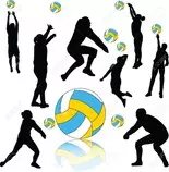 5030347-silueta-de-los-jugadores-de-voleibol-de-recogida-vector-Foto-de-archivo.jpg