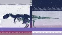 images/Dinosaur-Glitch-Trees-Yum.gif