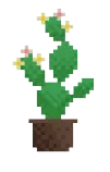 images/jumping-cactus.gif