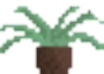 images/table-fern.gif