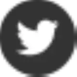 Temp1/images/twitter.png