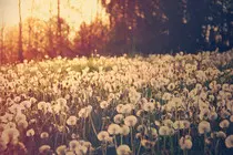 paisajes-tumblr-gif-imagen-fondo-7018.jpg
