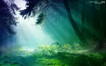 _wallpaper__wonderland_by_ddesimarie-d64d8sk.jpg