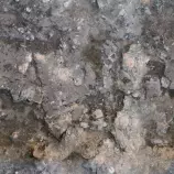 images/stone.jpg