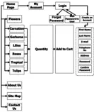 Site Map 1.png